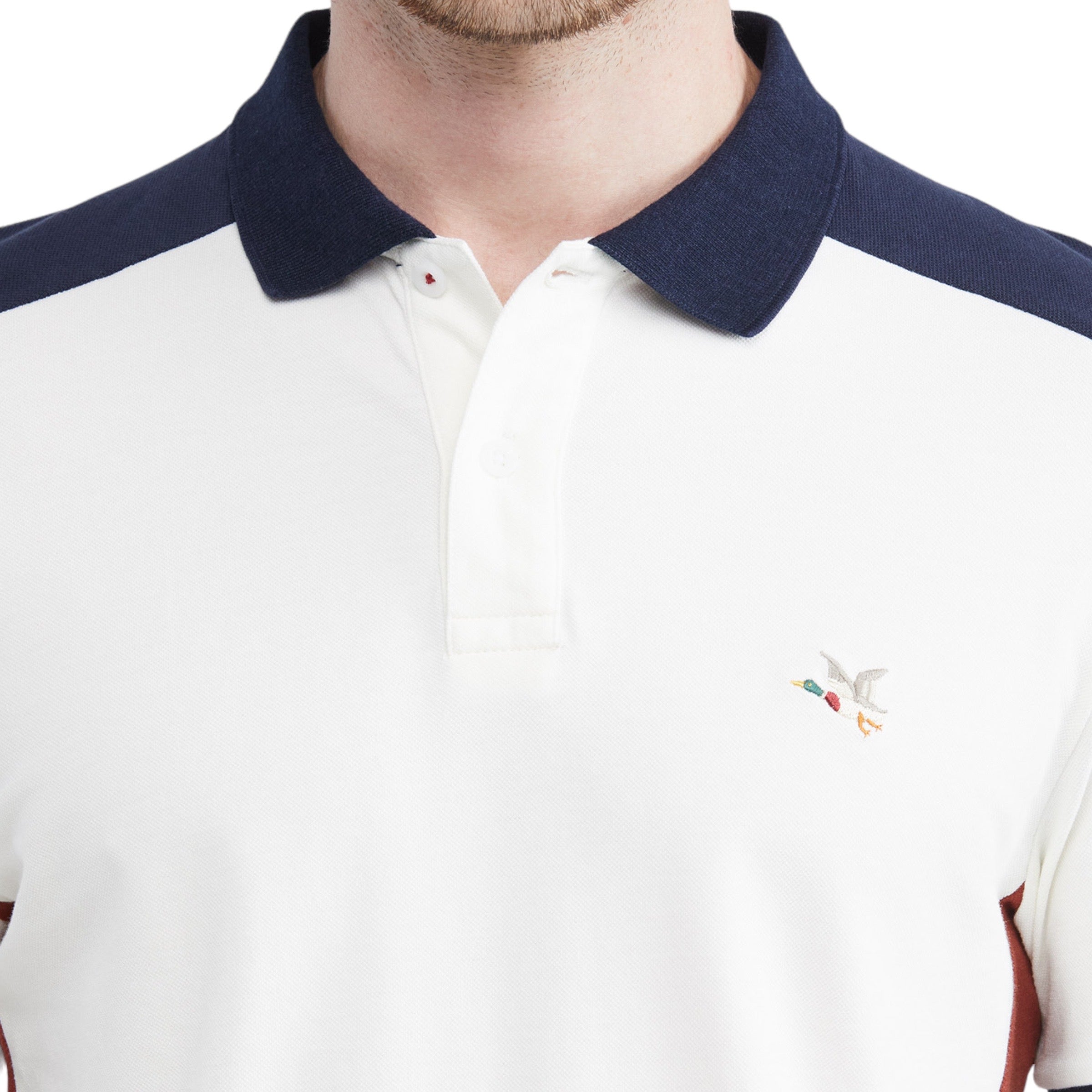 Polo Chevignon 602E012 Crudo