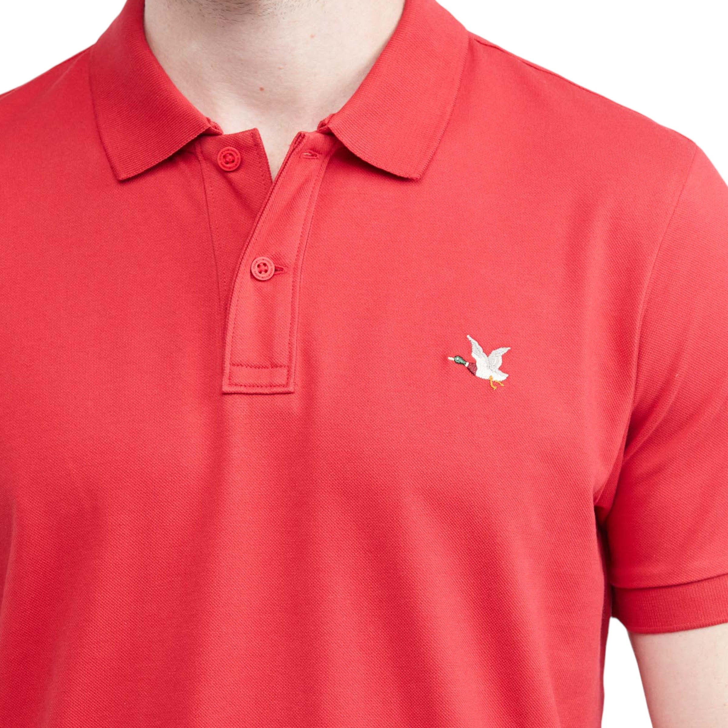 Polo Chevignon 602E001 Rojo