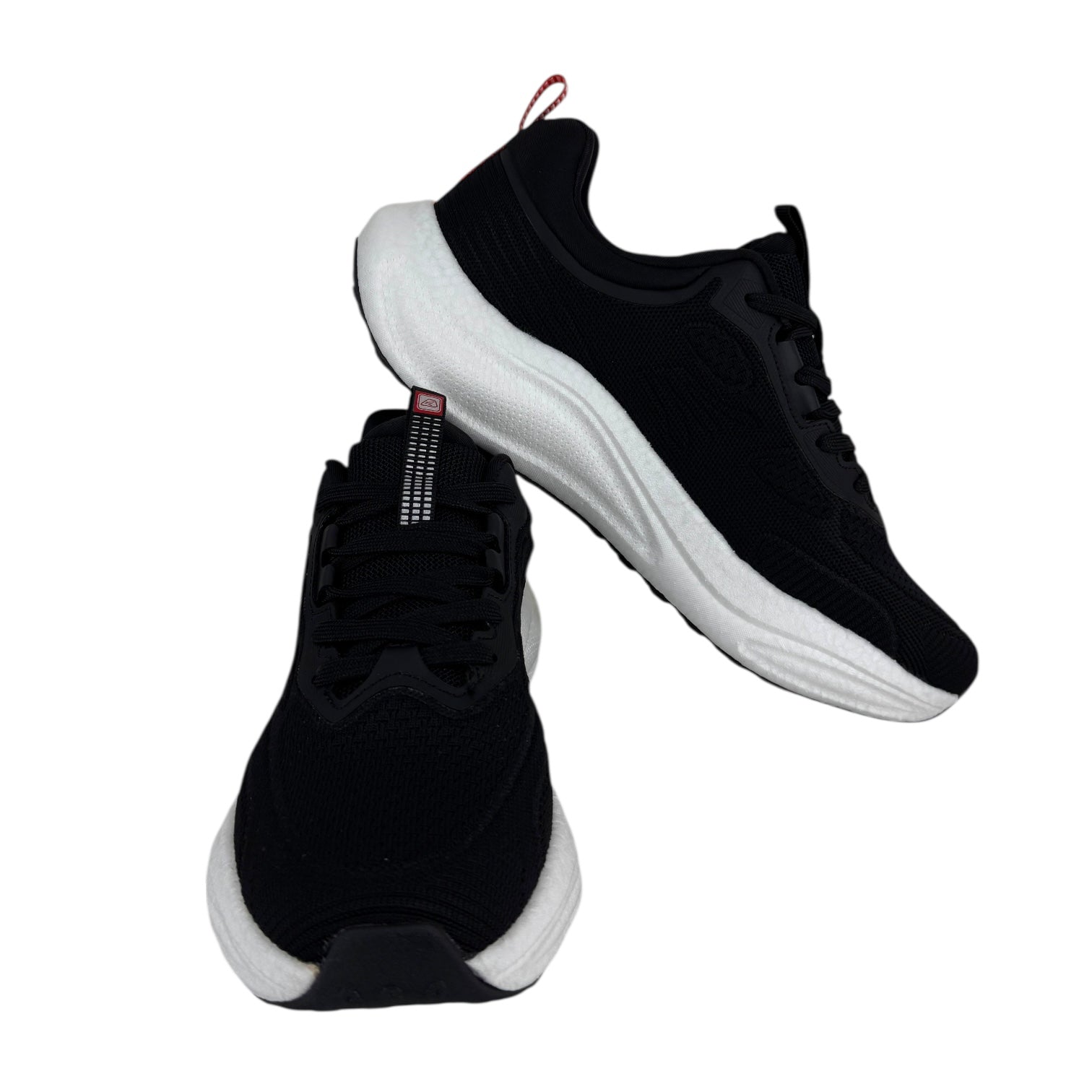 Zapatos Apolo AH255102