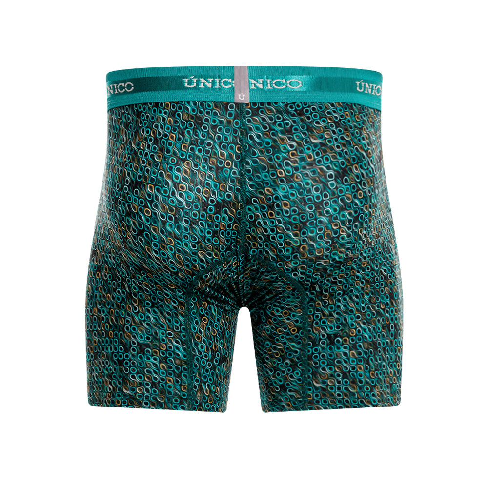 Boxer Medio Unico Dendrita