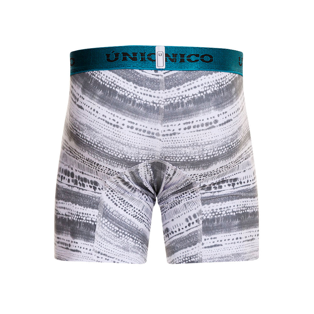 Boxer Único Racia
