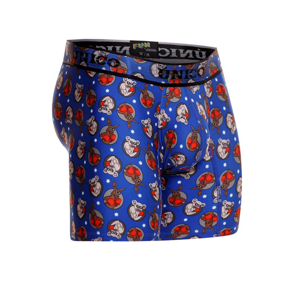 Boxer Único Koala