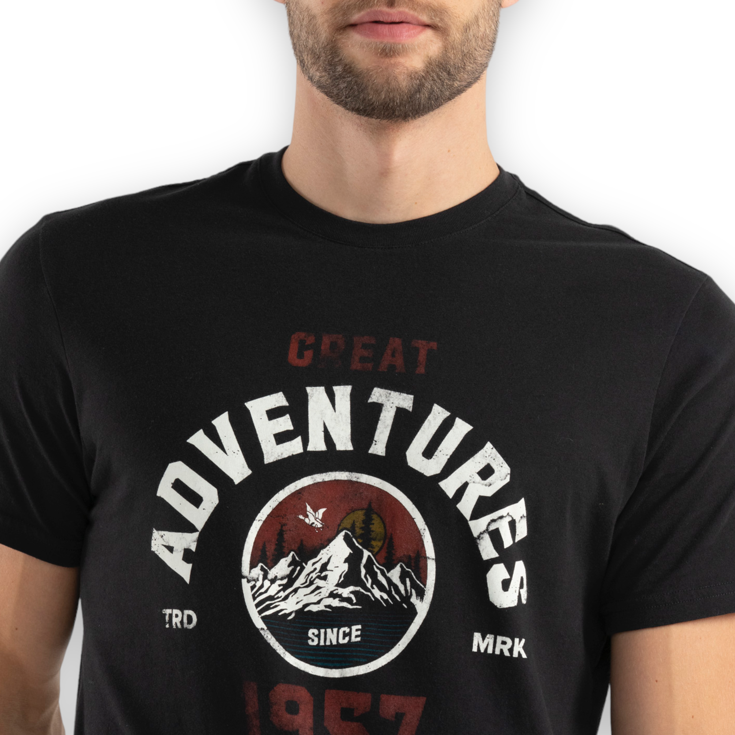 Camiseta Chevignon 649D009
