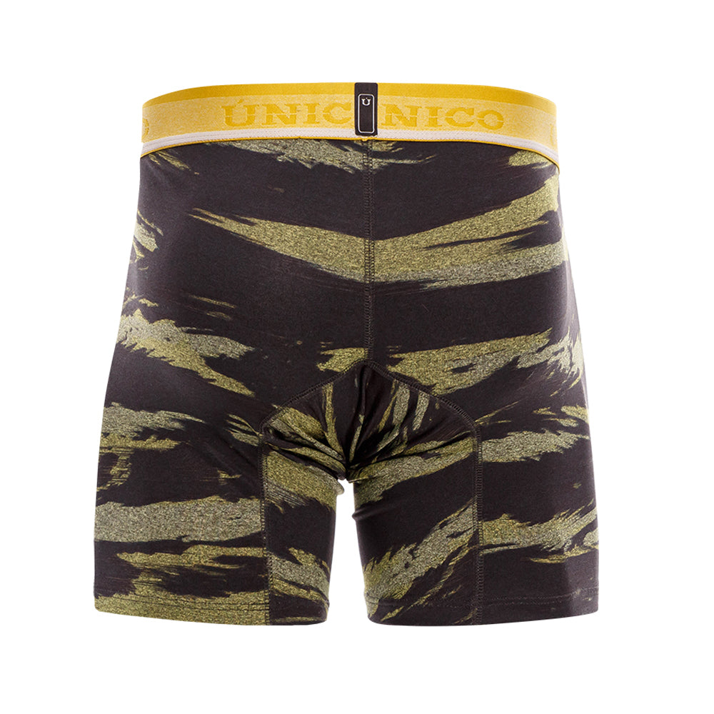 Boxer Único Claroscuro