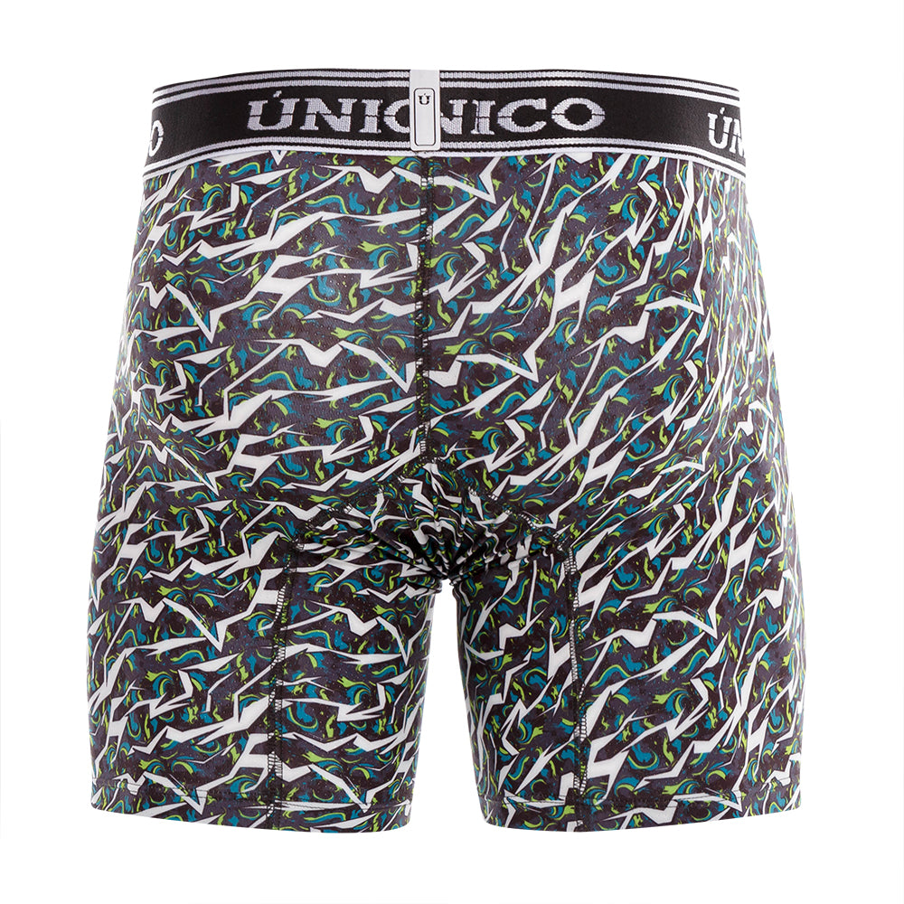 Boxer Único Pachira