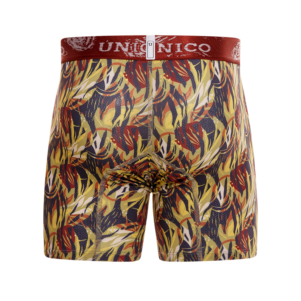 Boxer Único Polonio