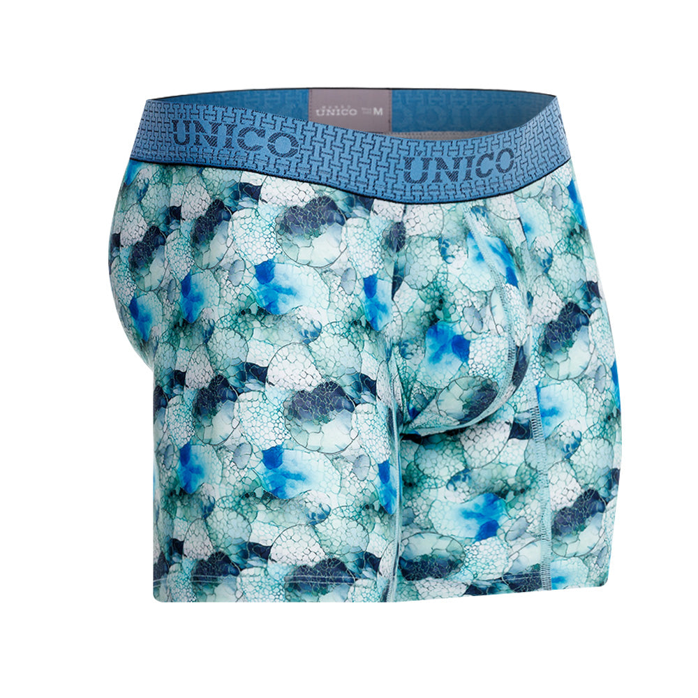 Boxer Unico Abalon