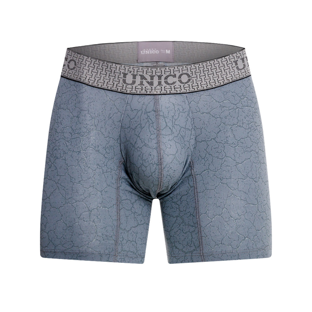 Boxer Unico Baldio