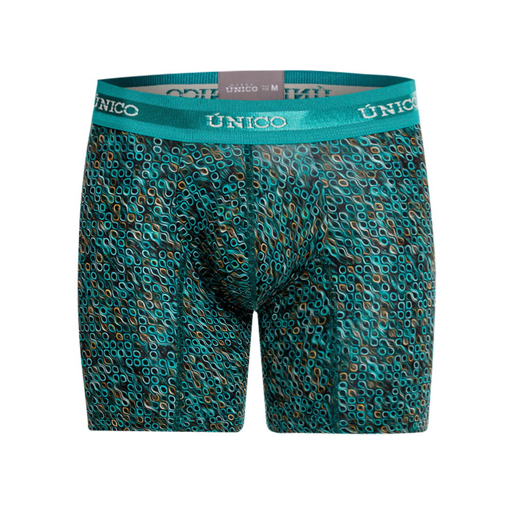 Boxer Medio Unico Dendrita