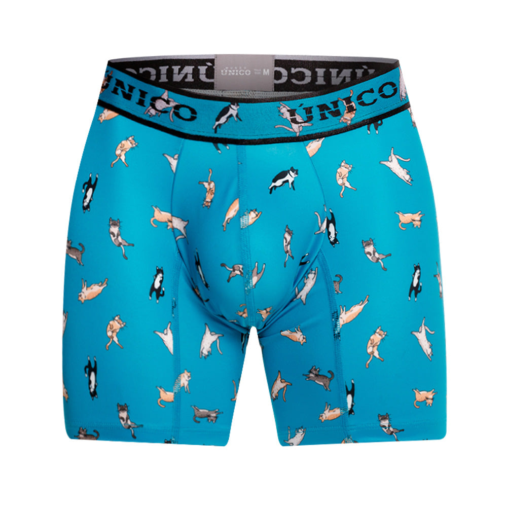Boxer Unico Felino