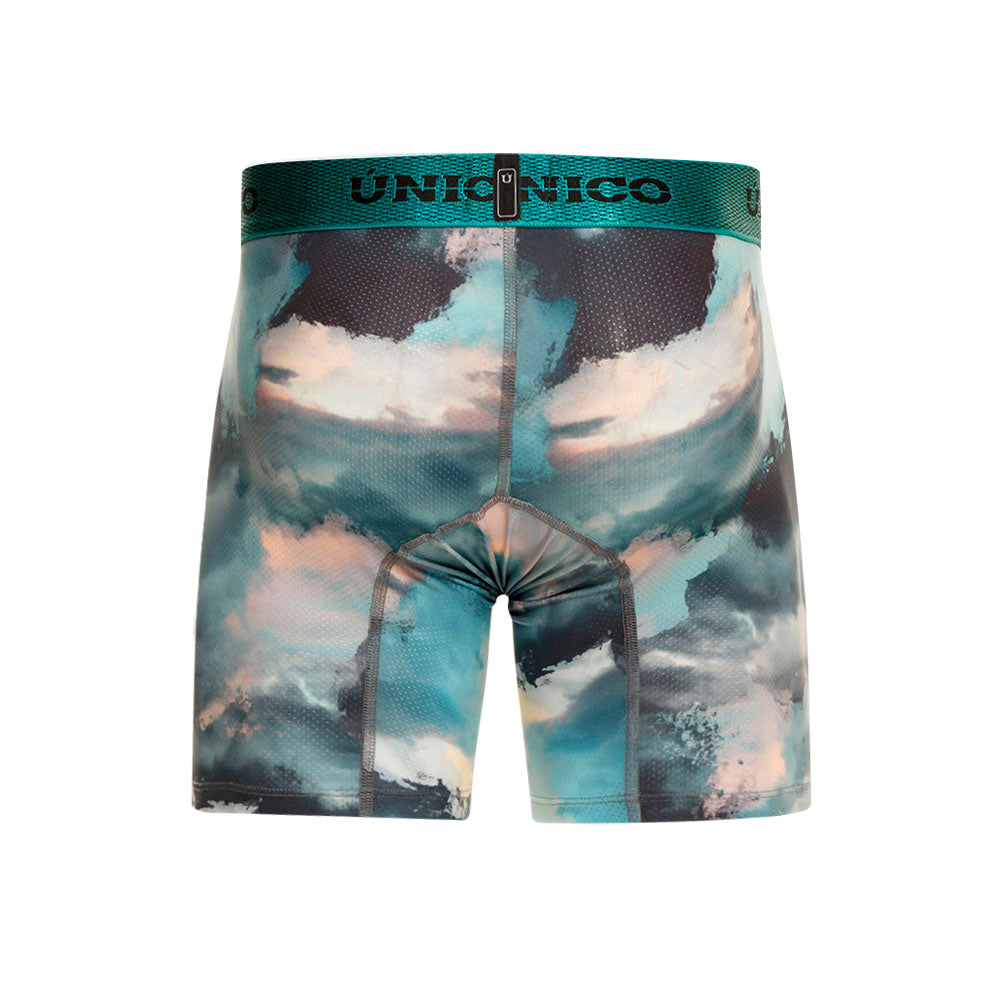 Boxer Único Sombrio